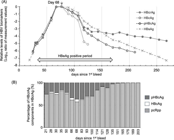 Evaluation of fully automated chemiluminescent enzyme immunoassays for hepatitis B core-related antigen components, phosphorylated and non-phosphorylated hepatitis B core antigens: clinical significance and dynamics during hepatitis B e antigen seroconversion.