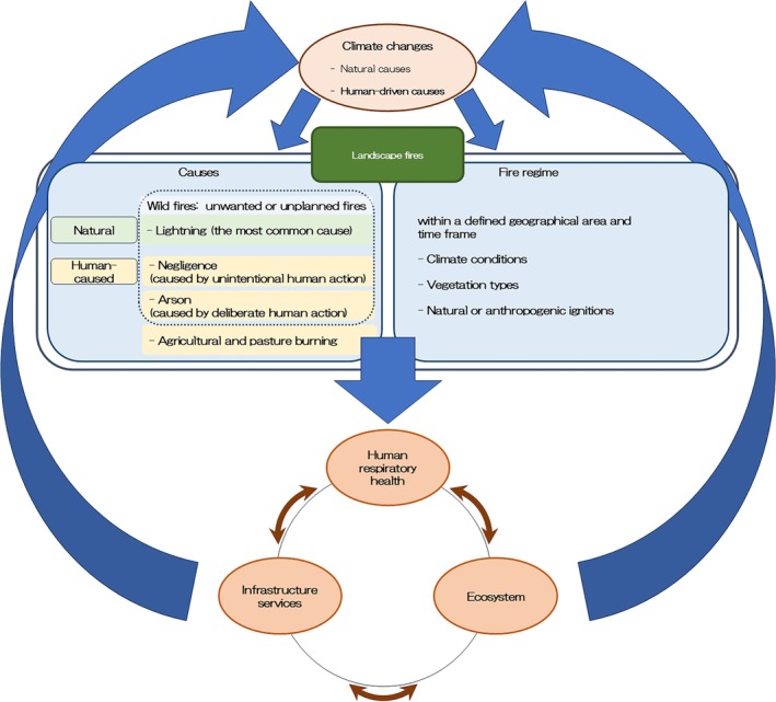 Respiratory Health Impacts of Landscape Fires: Insights Including Reports From East and Southeast Asia.