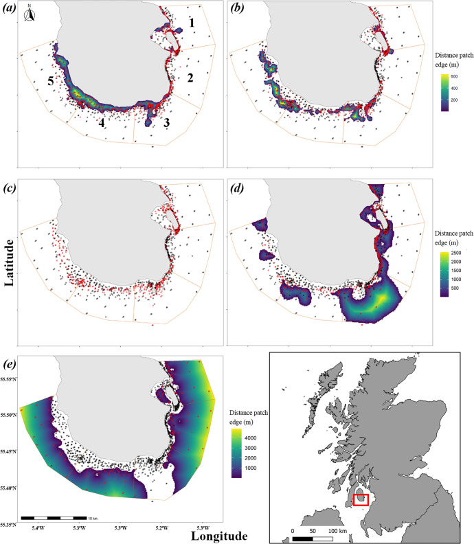 Seascape ecology of juvenile gadoid nursery areas.