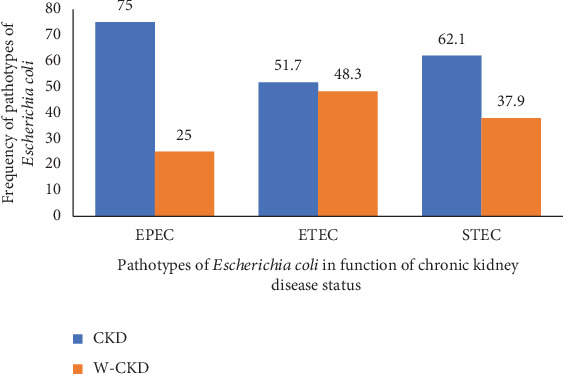 Resistance Profiles and Virulence Factors of Enteric <i>Escherichia coli</i> in Chronic Kidney Disease Patients at Laquintinie Hospital in Douala, Cameroon.