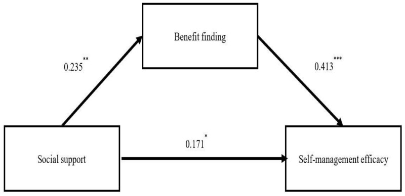 Benefit Finding: The Mediator Linking Social Support to Self - Management Efficacy in Gynecological Cancer.