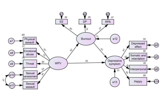 Relationship between workplace violence and depressive symptoms among emergency department physicians in China: the mediating role of occupational burnout.