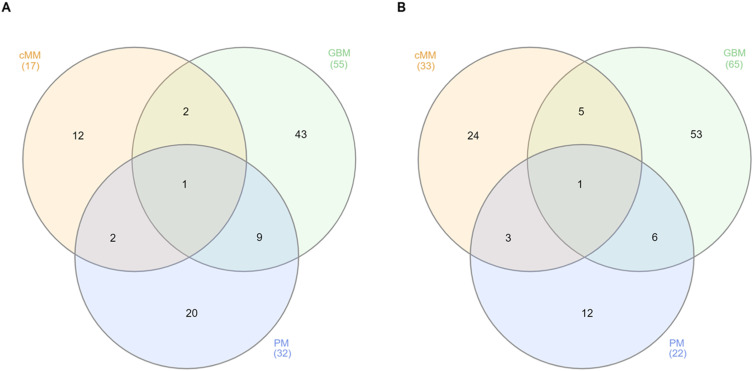 The Immunomodulatory Activity of Thymosin Alpha 1 on Tumor Cell Lines and Distinct Immune Cell Subsets.