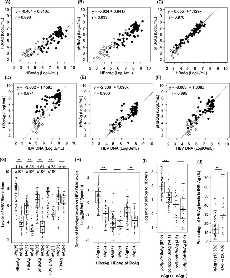 Evaluation of fully automated chemiluminescent enzyme immunoassays for hepatitis B core-related antigen components, phosphorylated and non-phosphorylated hepatitis B core antigens: clinical significance and dynamics during hepatitis B e antigen seroconversion.