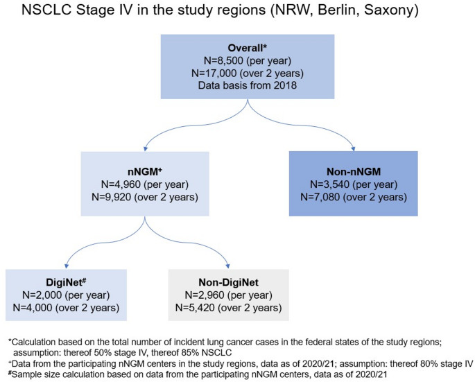 DigiNet: Optimizing personalized care for patients with stage IV non-small cell lung cancer (NSCLC) through a digitally connected provider network-analysis plan of a prospective multicenter cohort trial.