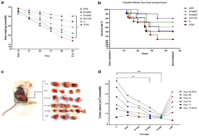 Synergistic inhibitory effects of <i>Trifolium pratense</i> L. extract and doxorubicin on 4T1 tumor-bearing mice are mediated via targeting the Wnt/β-catenin pathway and reversal of epithelial-mesenchymal transition.