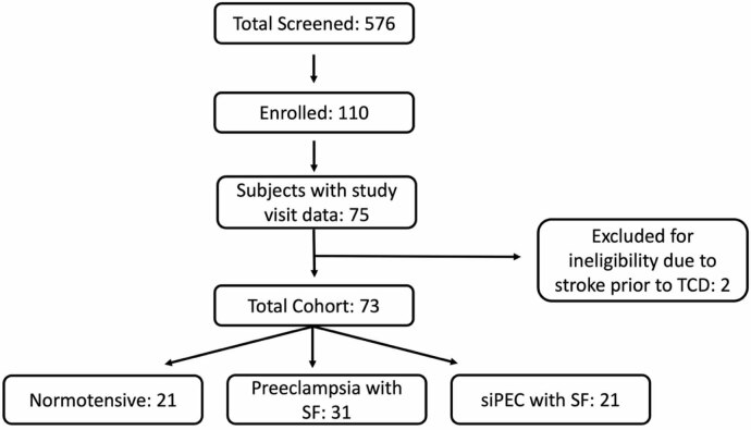 Aggregated postpartum cerebral autoregulatory curves in normotensive individuals, preeclampsia with severe features, and superimposed preeclampsia with severe features.