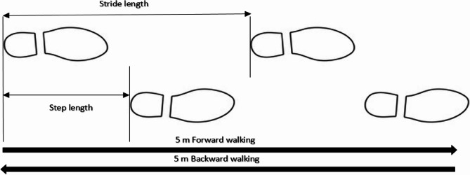 Impact of forward and backward walking on gait parameters across parkinson's disease stages and severity: a prospective observational study.