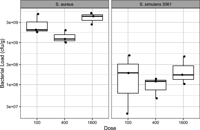 Evaluation of <i>Staphylococcus simulans</i> inhibition of <i>Staphylococcus aureus</i> infection by an <i>in vivo</i> murine mastitis model.