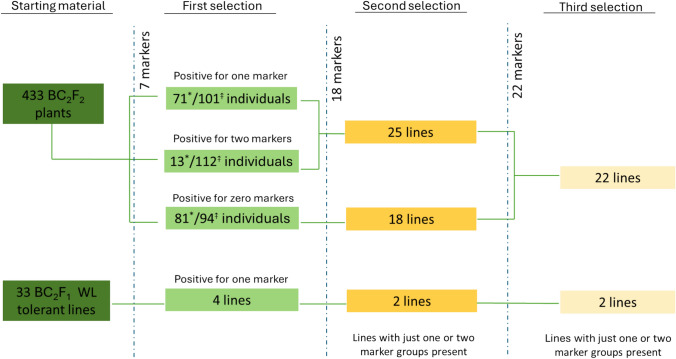 Genomics-enabled dissection of sea wheatgrass genome for advancing wheat genetic resources.