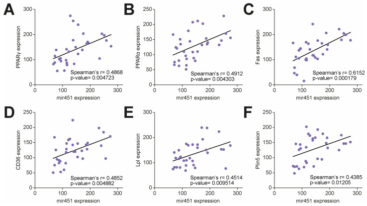 miR-451 Is a Driver of Lipotoxic Injury in Patients with Diabetic Cardiomyopathy.