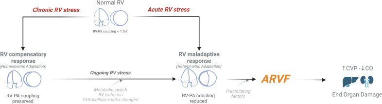 Gaps and Knowledge in the Contemporary Management of Acute Right Ventricular Failure.