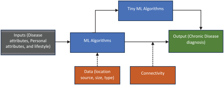 Application of machine learning for early detection of chronic diseases in Africa.