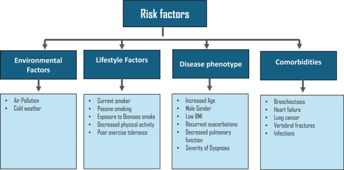 Management of COPD With Cardiovascular Risk in Asia: A Review by the Asian Pacific Society of Respirology COPD Assembly.