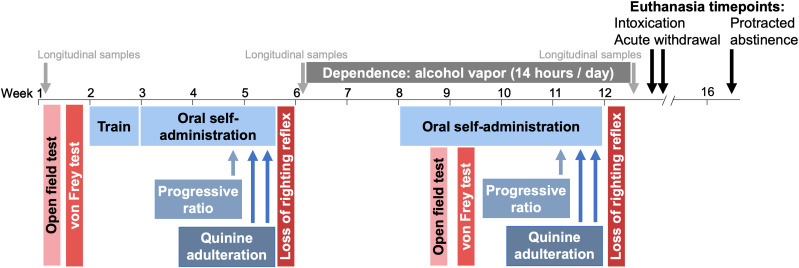 A Preclinical Alcohol Biobank: Samples from Behaviorally Characterized HS Rats for AUD Research.