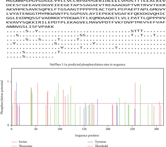 Sialic Acid-Binding Protein-1 (SABP1) of <i>Toxoplasma gondii</i>: Preliminary Computer-Based Epitope Mapping for Enhanced Vaccine Design.