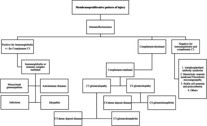 CARI Guidelines Commentary on the KDIGO Clinical Practice Guideline for the Management of Glomerular Diseases.