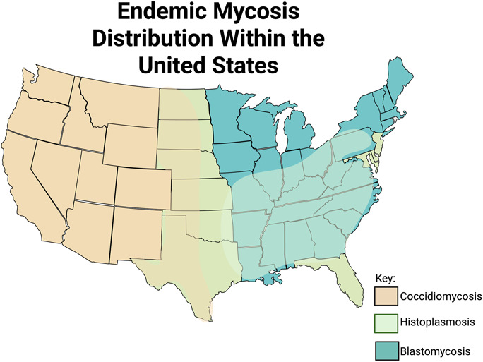 Musculoskeletal Manifestations of Disseminated Fungal Infections.