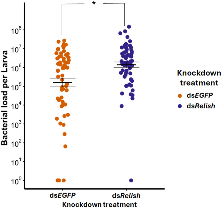 Immune-mediated indirect interaction between gut microbiota and bacterial pathogens.