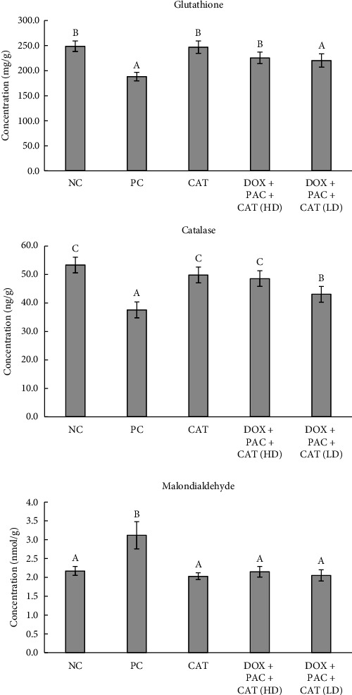 Effect of Catechin on Hepatotoxicity Induced by Combined Doxorubicin and Paclitaxel Treatment.