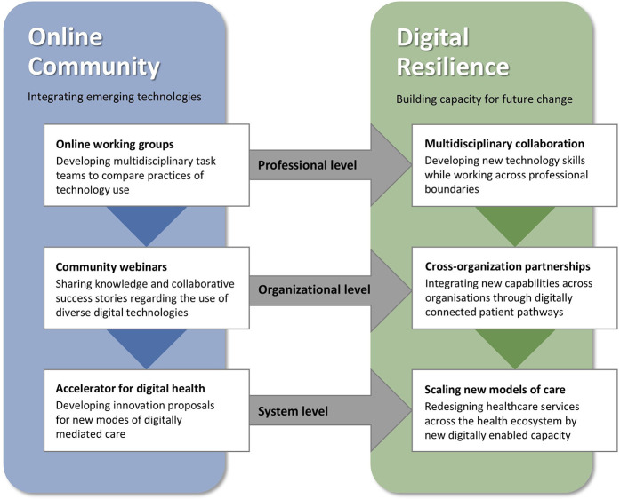 Building digital resilience: leading healthcare transformation through an online community.