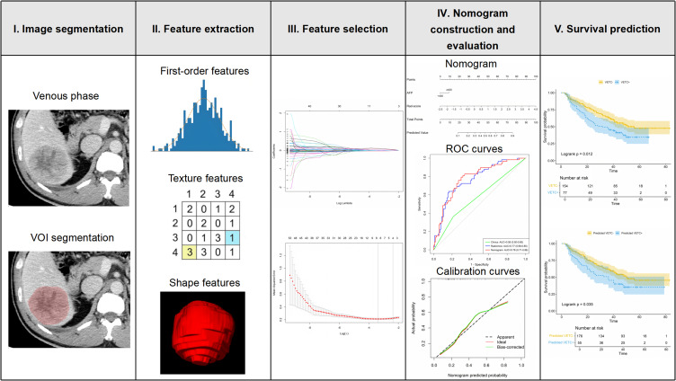 CT-Based Radiomics Features Combined with AFP for Predicting Vessels Encapsulating Tumor Clusters and Prognosis of Hepatocellular Carcinoma.
