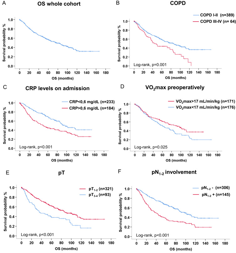 COPD Severity as an Independent Predictor of Long-Term Survival in Operable Lung Cancer: A Retrospective Analysis from a High-Volume Thoracic Surgery Center.