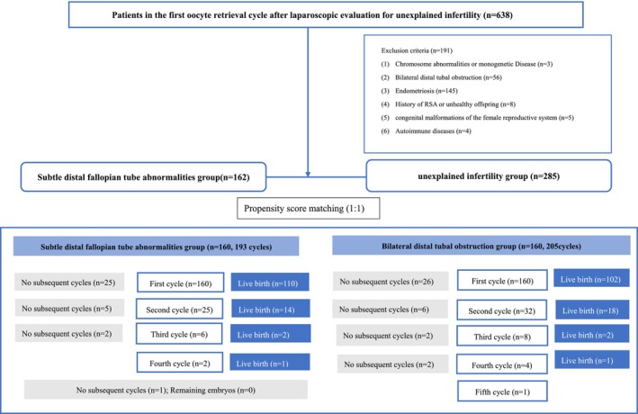 Cumulative Live Birth Rate in Patients With Subtle Distal Fallopian Tube Abnormalities: A Retrospective Cohort Study.