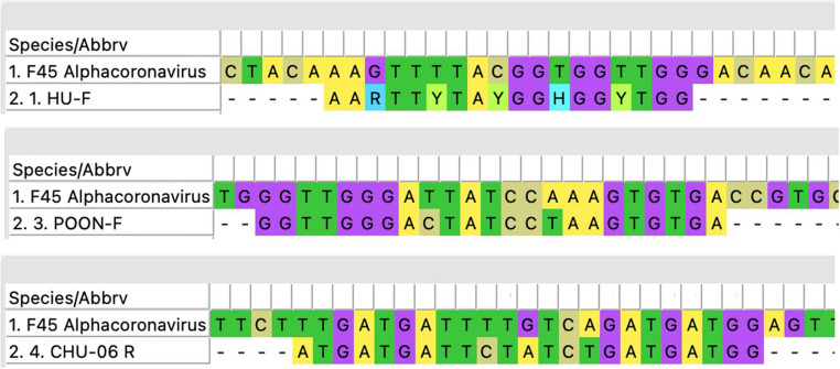 Metagenomic analysis of viral diversity in Portuguese bats.