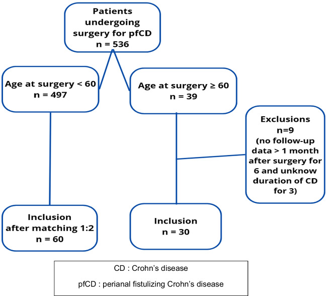 Less combination therapy and more fistulotomy in perianal fistulizing Crohn's disease in the elderly.