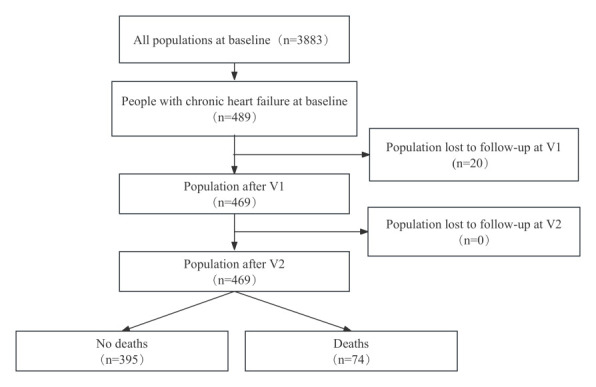 Machine learning-based risk factor analysis and prediction model construction for mortality in chronic heart failure.