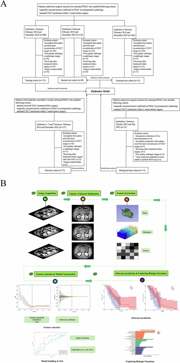 CT-based radiomics models decode fibrosis content and molecular differences in pancreatic ductal adenocarcinoma: a multi-institutional study.