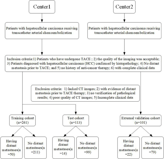 Development of a predictive model for distant metastasis in HCC patients post-TACE using clinical data, radiomics, and deep learning.