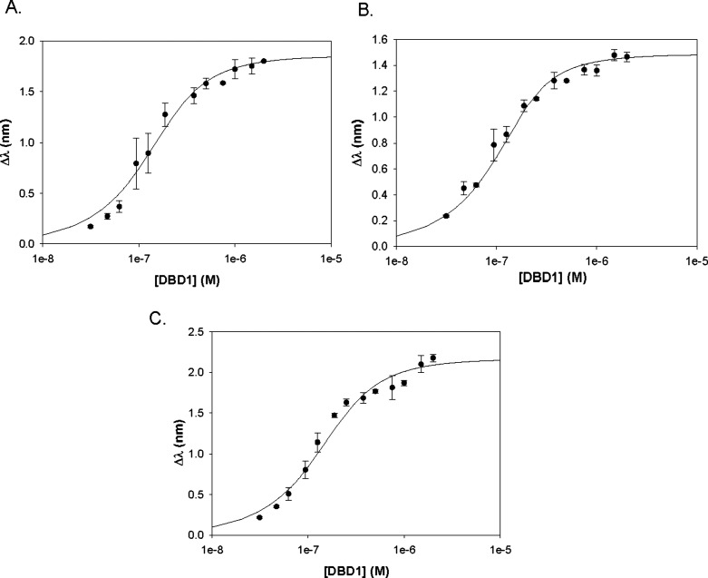 Domain-Specific DNA Binding Activities of BRCA1 Reveal Substrate Preferences for Homologous Recombination and Telomere Regulation