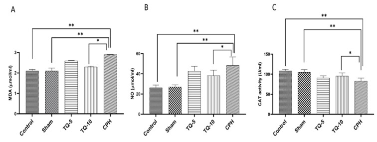 Thymoquinone alleviates the adverse effects of cyclophosphamide on oogenesis and in vitro fertilization (IVF) in NMRI mice.