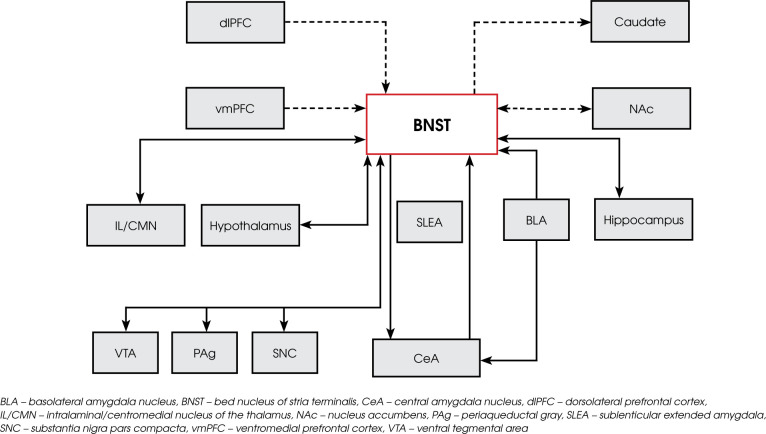 Stimulation of bed nucleus of the stria terminalis area for treatment-resistant obsessive-compulsive disorder and comorbid depressive and anxiety symptoms: a systematic literature review.