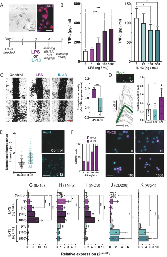 Forced polarisation of microglia by IL-13 is modified by inflammatory and microenvironmental context.