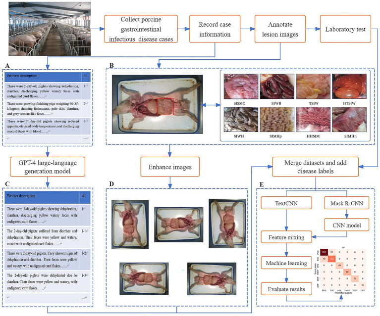 An intelligent diagnostic method for porcine gastrointestinal infectious diseases based on multimodal AI and large language model.