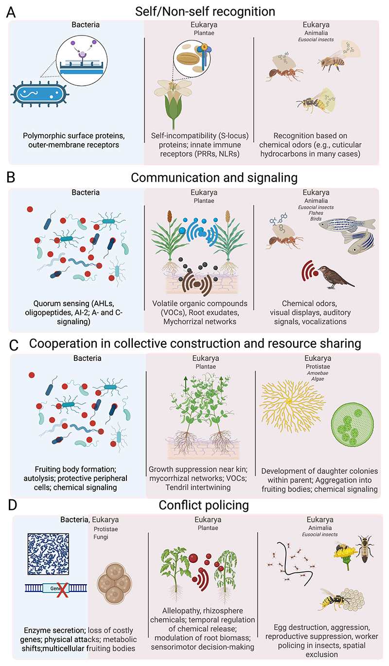 Key Invariants in the Evolution of Sociality Across Taxa.