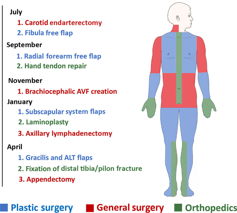 Plastics Makes Perfect: A Collaborative, Cost-effective Approach to Multilevel Cadaveric Learning.