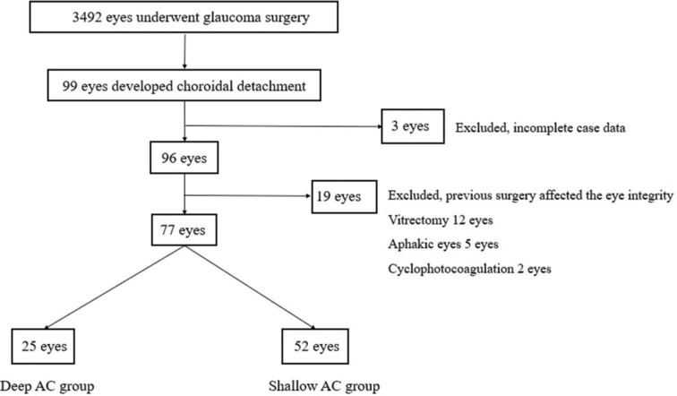 The risk factors of shallow anterior chamber after choroidal detachment in glaucoma patients with intraocular surgery.