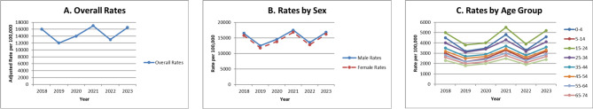 Characteristics of emergency department visits in Jordanian public hospitals.