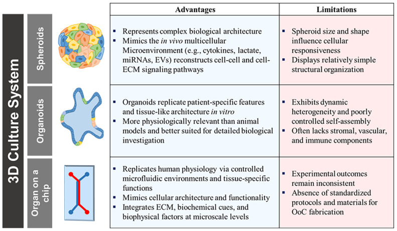 Advanced Three-Dimensional Cell Culture Models for Investigating Enterohaemorrhagic <i>Escherichia coli</i> Pathogenesis and Shiga Toxin-Mediated Injury.