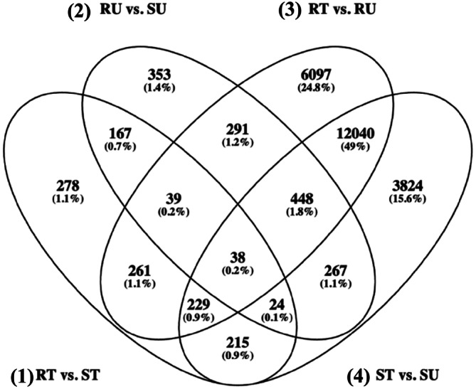 Determination of the Mechanisms of MCPA Resistance in <i>Amaranthus powellii</i>.