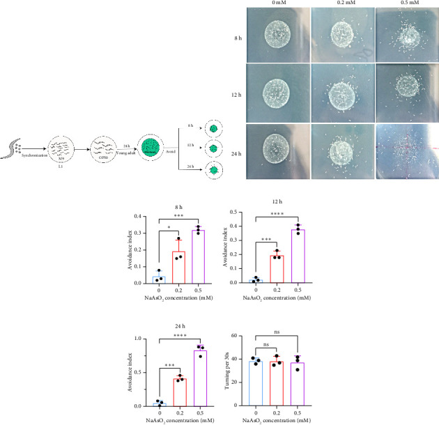 Serotonin-Mediated Avoidance and Immune Suppression in <i>Caenorhabditis elegans</i> Exposed to Sodium Arsenite.