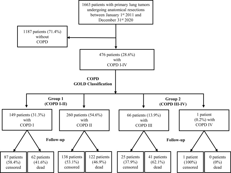 COPD Severity as an Independent Predictor of Long-Term Survival in Operable Lung Cancer: A Retrospective Analysis from a High-Volume Thoracic Surgery Center.