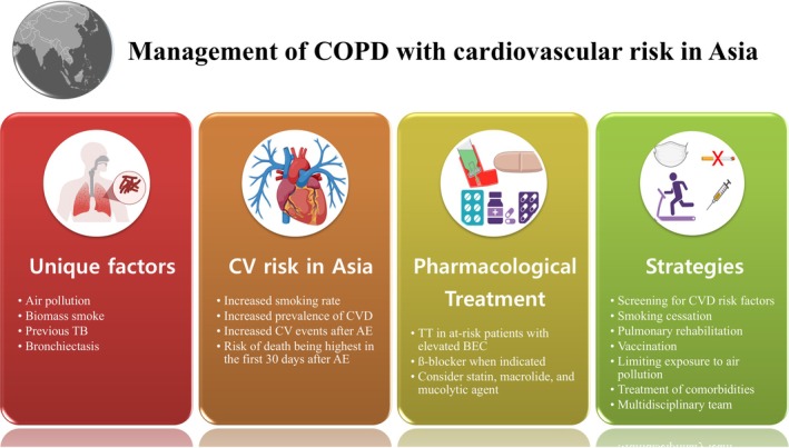Management of COPD With Cardiovascular Risk in Asia: A Review by the Asian Pacific Society of Respirology COPD Assembly.
