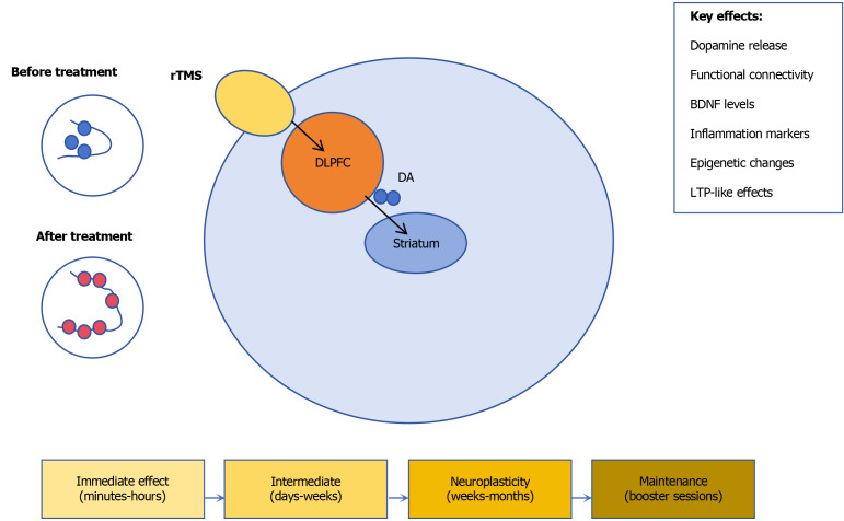 Advances in transcranial magnetic stimulation for psychological symptom management in Parkinson's disease.