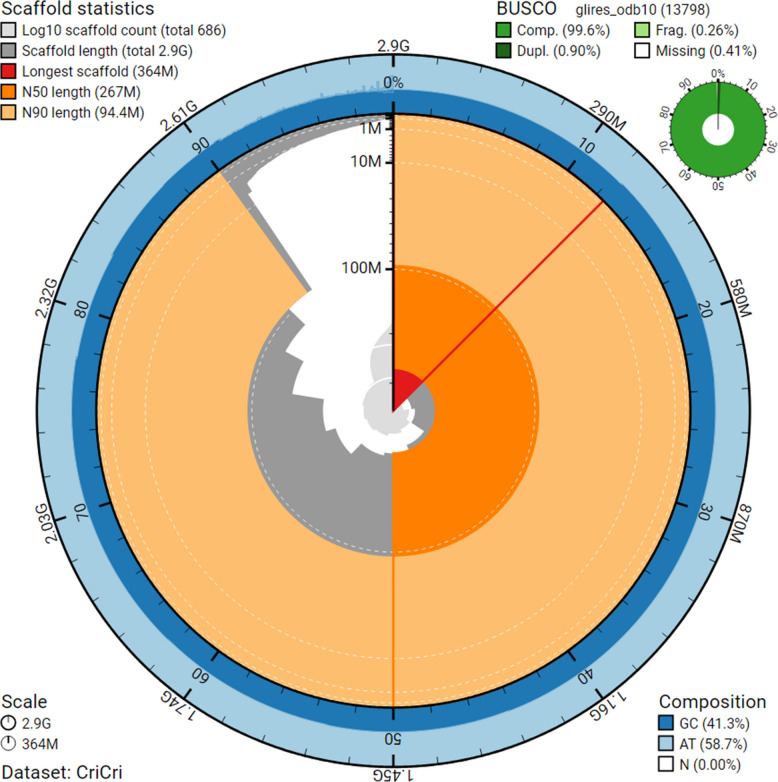 Chromosome-level genome of the European hamster (Cricetus cricetus) and its genome-wide population structure across Western Europe.