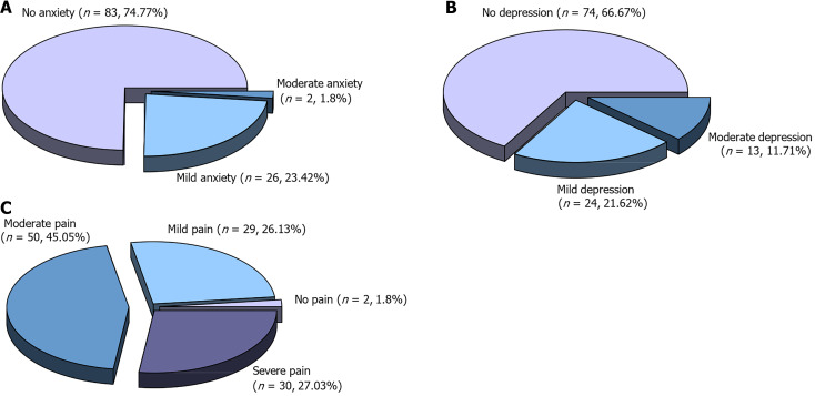 Anxiety and depression status in geriatric patients undergoing total hip arthroplasty: Correlation with postoperative pain and risk factors.